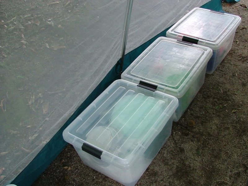 キャンプ道具収納プラスチックケース